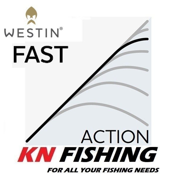 WESTIN W8 ROCKSHORE APEX PREDATOR LR 2.90m Shore Jigging Rod 50 – 120gr 2sec