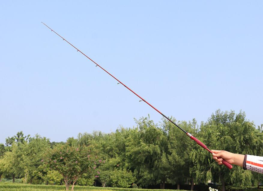 1.8M Fishing RodS 5.91FT Carbon Fiber Spinning/casting Pole Lure Rod Fast Action
