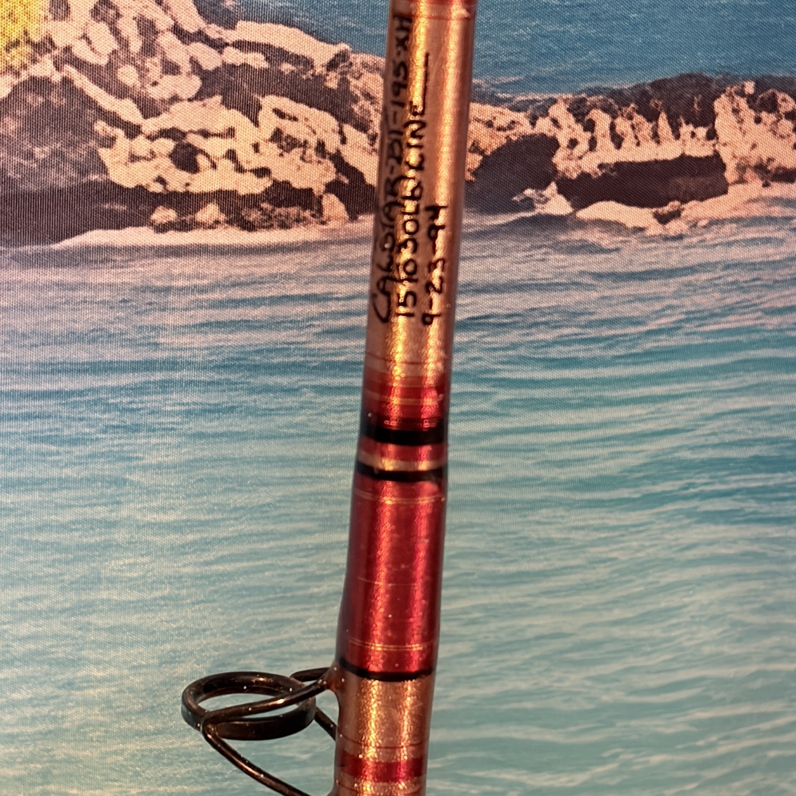CALSTAR BT-195XH Custom by LONGFIN 15-30lb Saltwater Rod AFTCO-2M 6′ Red