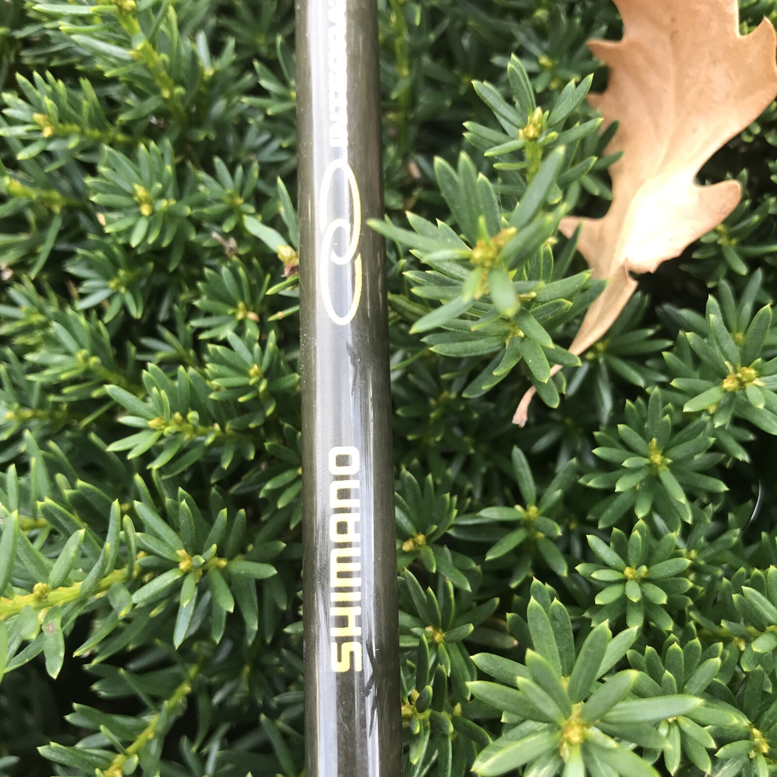 Shimano 1 Pc PMC-60MC Medium Casting Rod 6’ 6-15 Lb Line Missing 1 Guide
