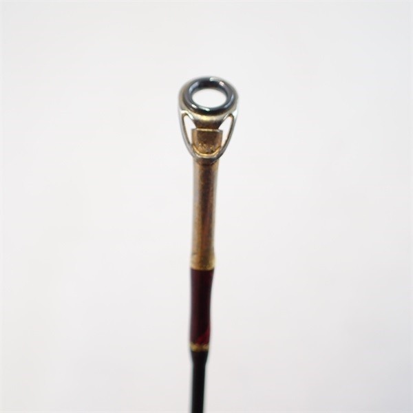 Fenwick. Golden Wing GW62CMLJ Cond/C