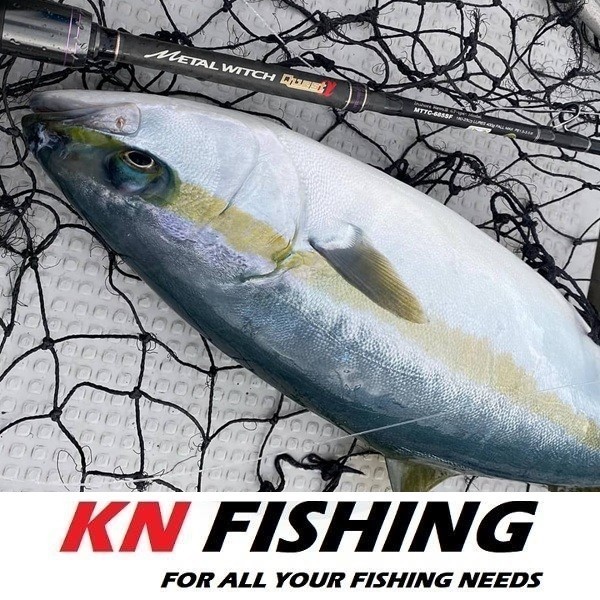 PALMS METAL WITCH QUEST A 631SF Light Slow Jigging Rod 1.91m 60-110gr