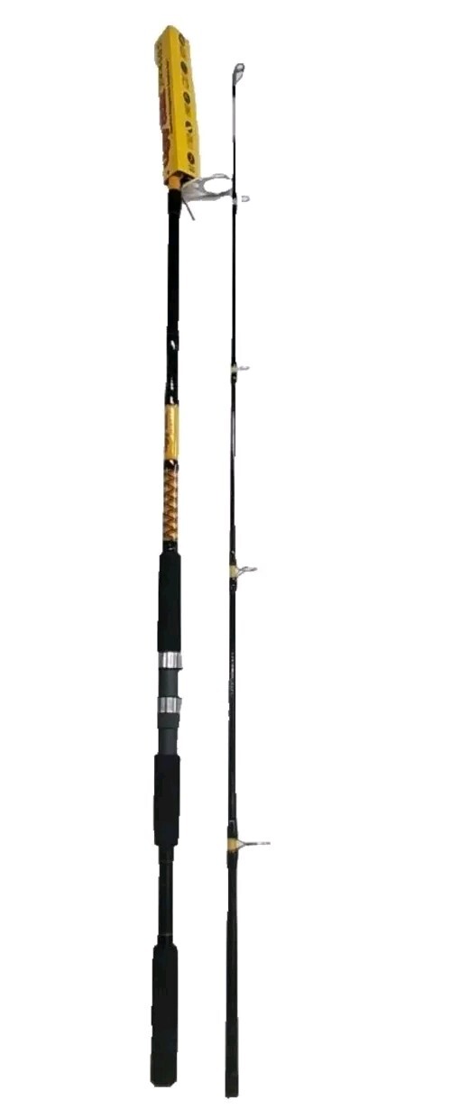Ugly Stik Bigwater 10′ 🔥Spin Rod Medium Heavy 2-Piece Surf Beach, SHARK ROD❗️🔥