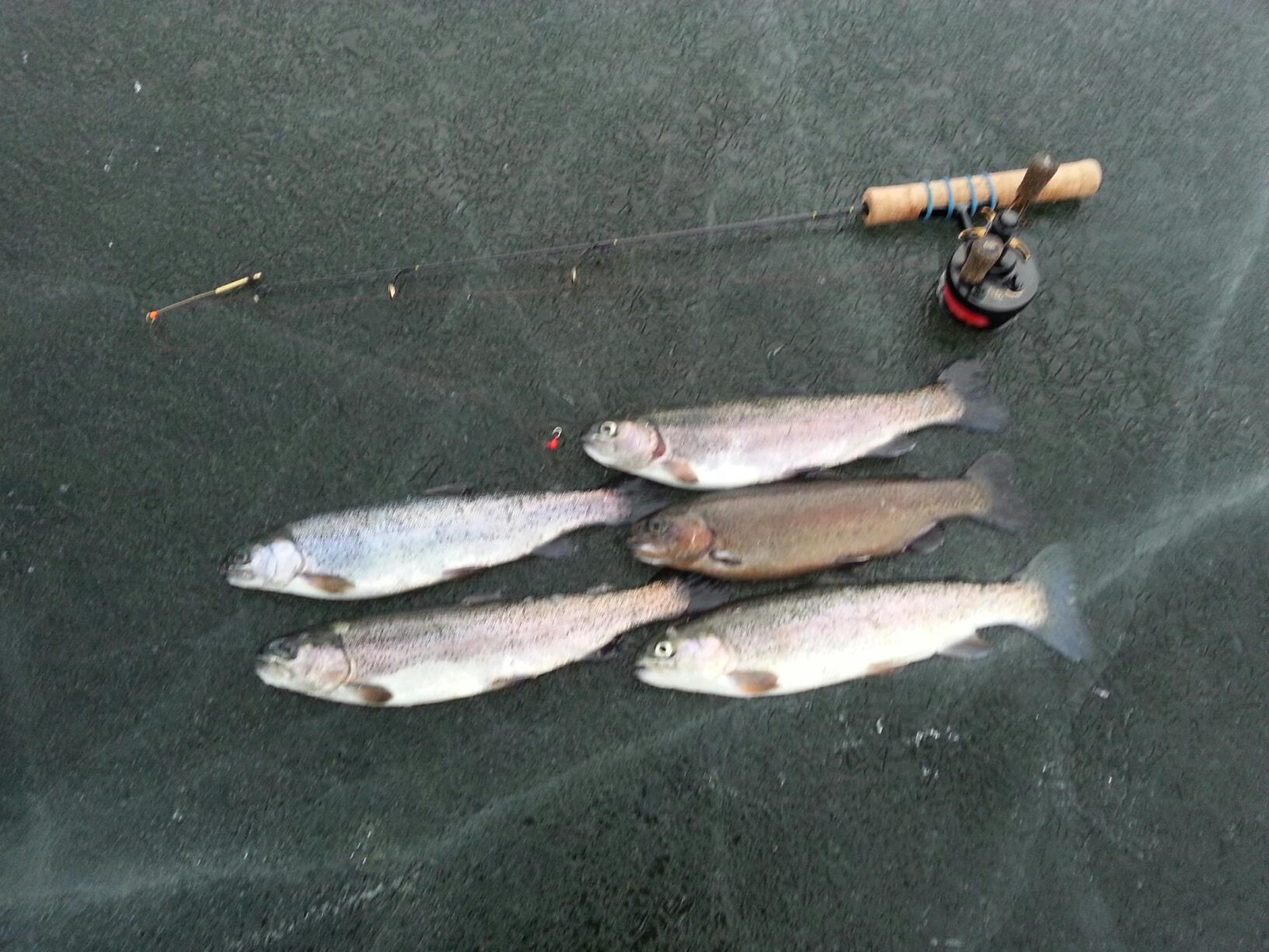 Hardwater Cutoms St Croix Custom Ice Rod 28″ Med. Replica
