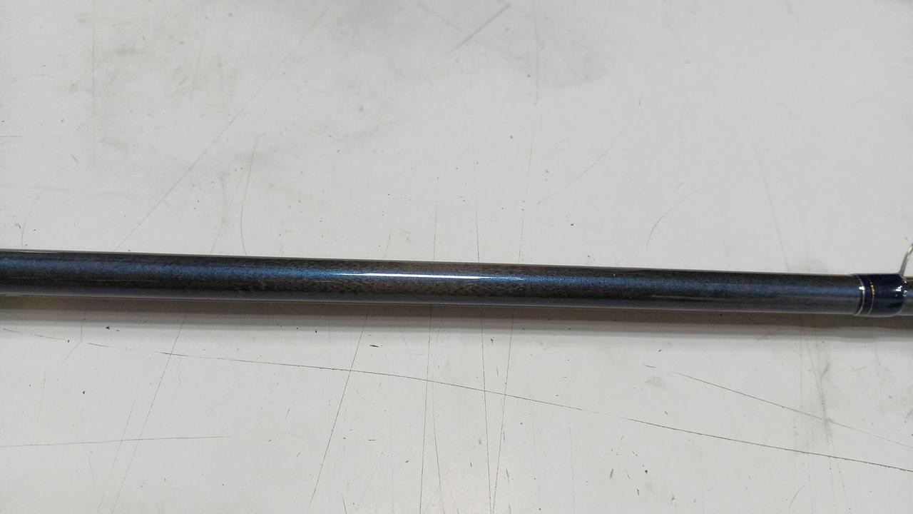 Fenwick TECBNA GP 74CXHJ bass rod