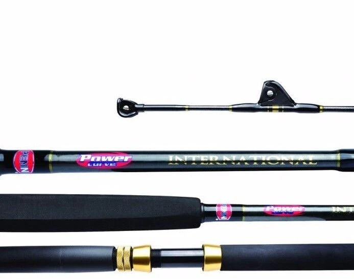Penn Powercurve INTERNATIONAL 15KG Standup Game Rod 1.73m 1 Piece 5.68″ NEW