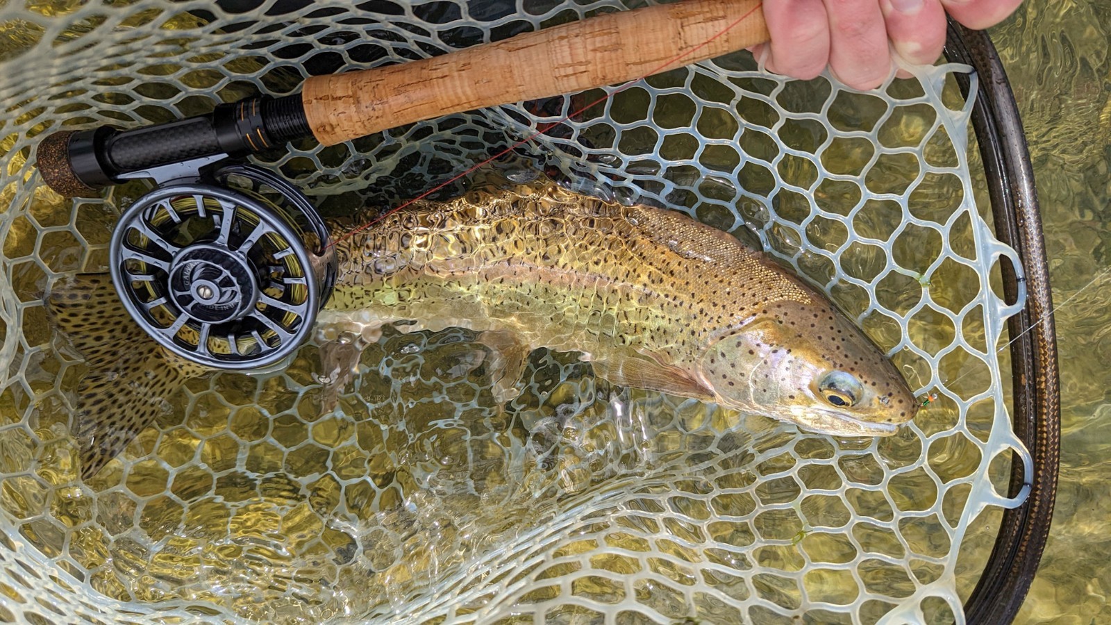 Cortland MKII Competition Nymph 11′ 3wt Tube+Sock Great Condition