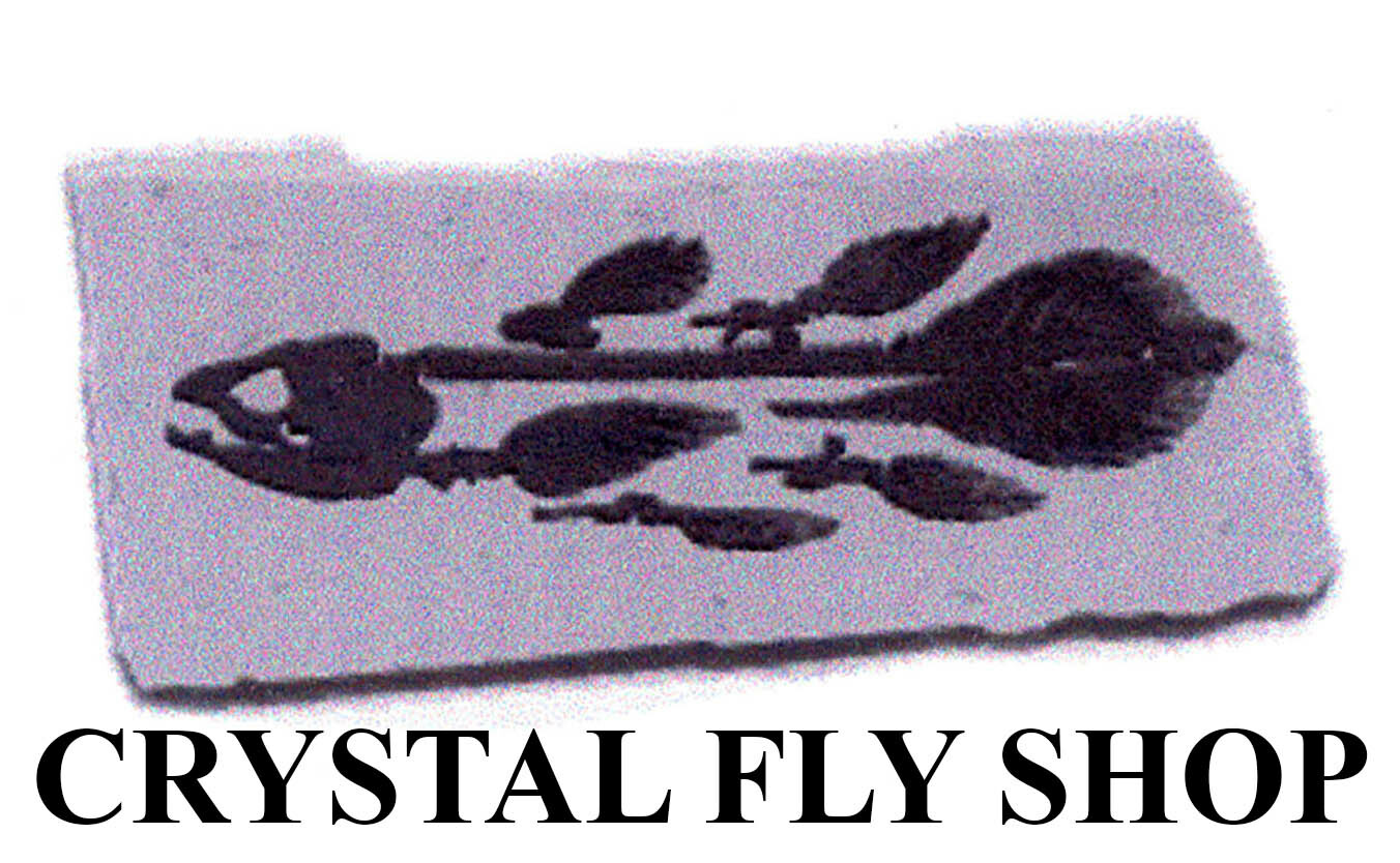 DOUGLAS SKY G 6904 9′ #6 WEIGHT FLY ROD +FREE $100 LINE