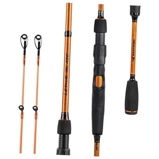 Lethal Blaze Twin-Tip Fishing Rods, IM6 Graphite Blanks Casting & Spinning