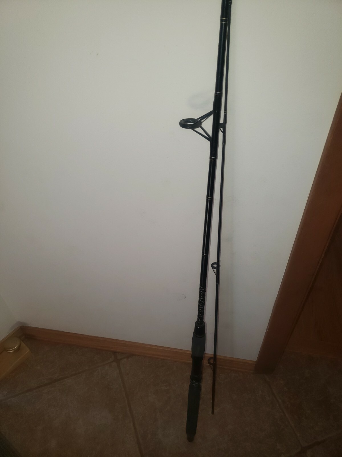 Master Graphite C — 6 1/2Ft 6-10 Lb Casting Fishing Rod