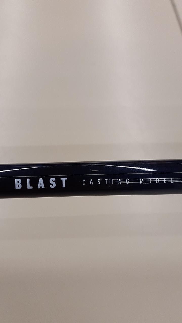 Daiwa BLAST AR70S Casting Rod 7ft 2pc 195g 21.3in Freshwater Fishing