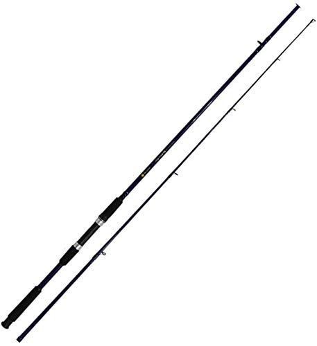 Basic Spinning Seabass Rod 8ft for Beginners, Silver Color, Used