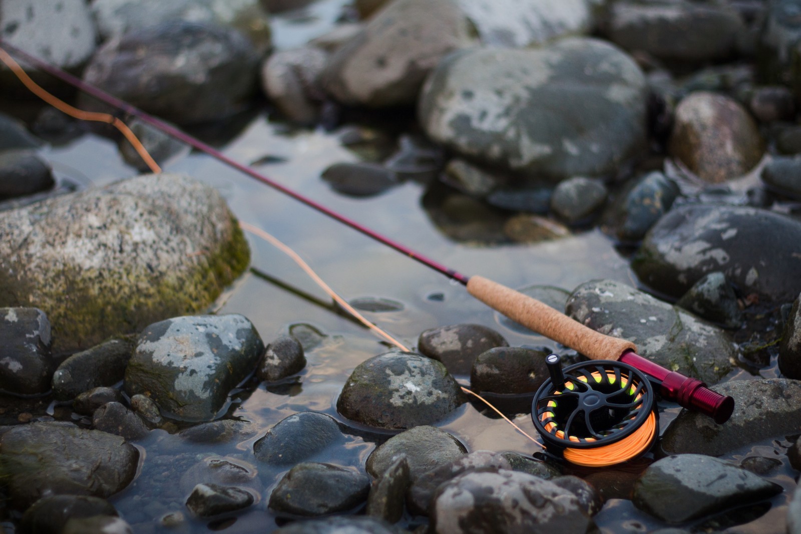TFO Fly rod outfits