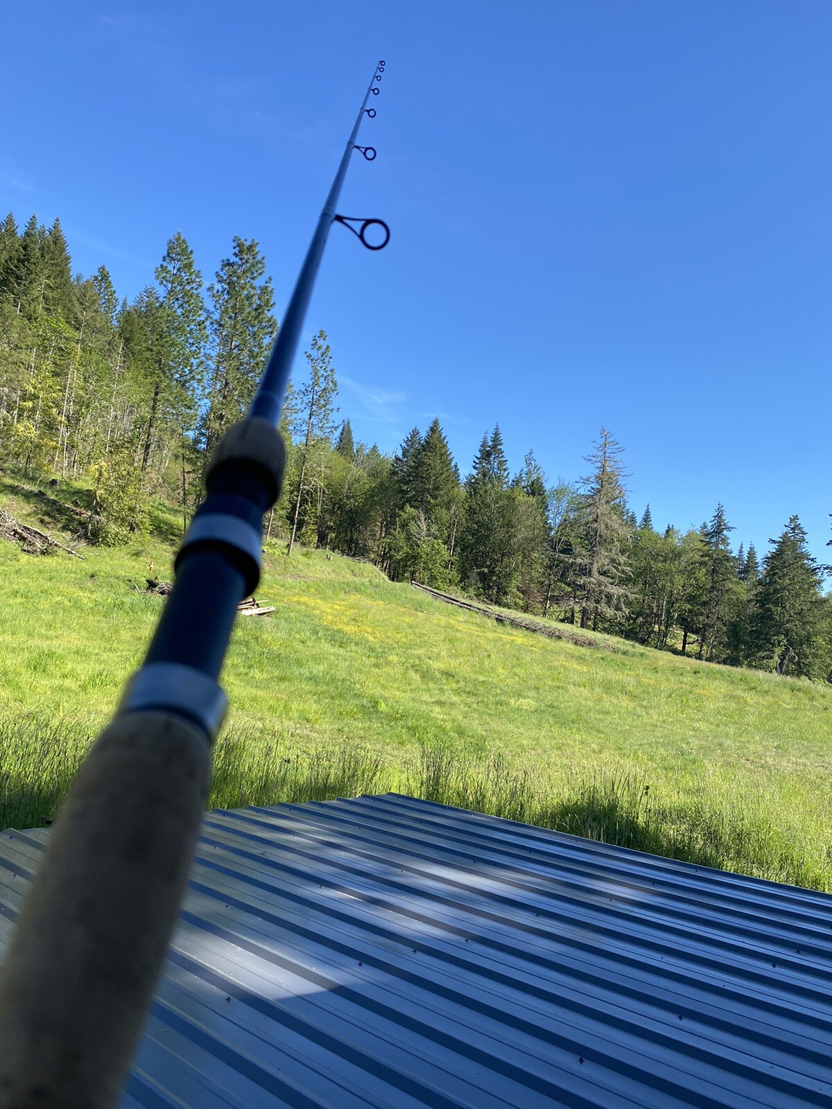 All Star IM6 Spinning Rod, 6’ Medium Light Fast