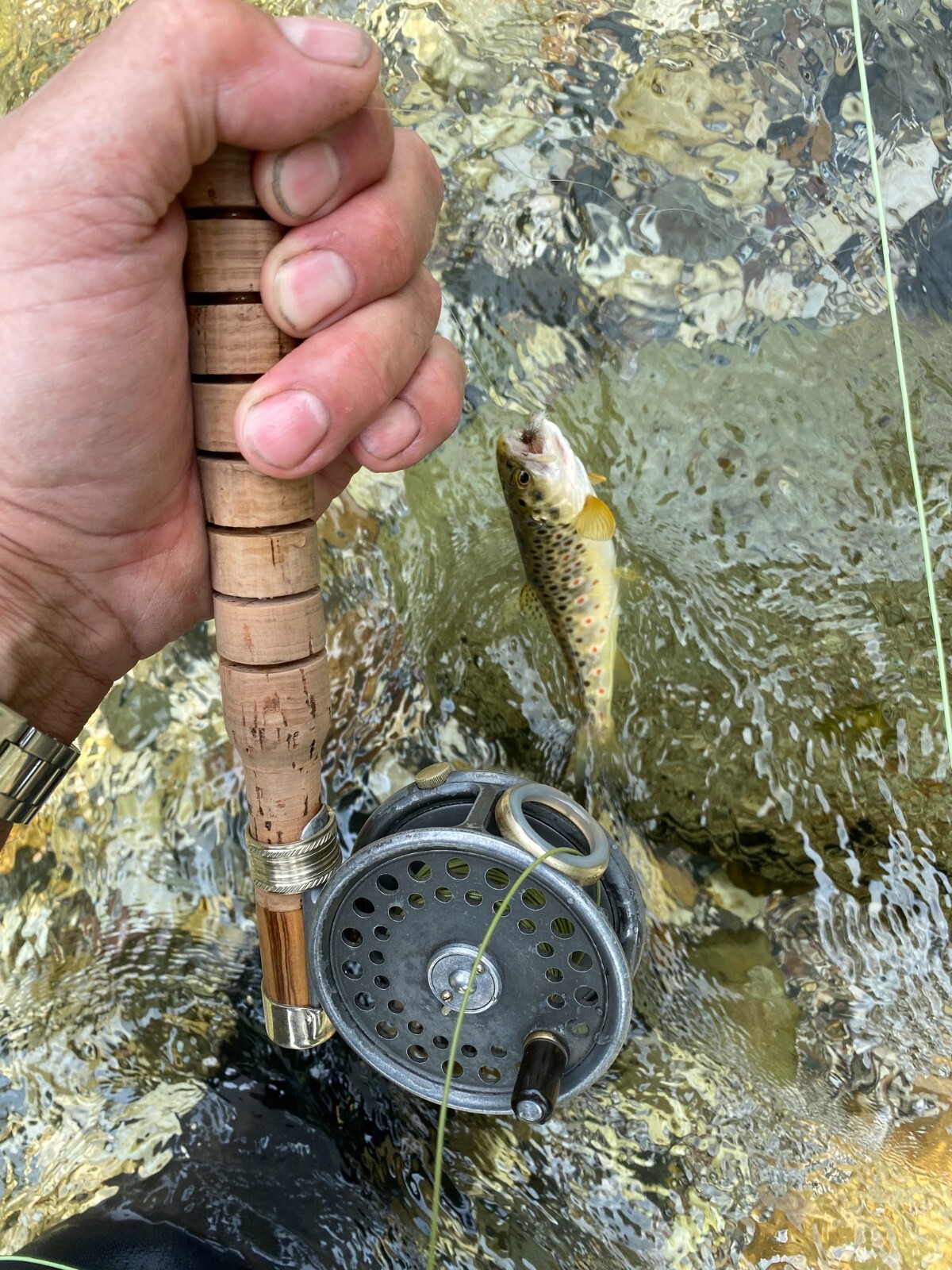 Fly Rod bamboo type L.G.D.P. Speciale 7’9” linea 4#5 .(2TIP)