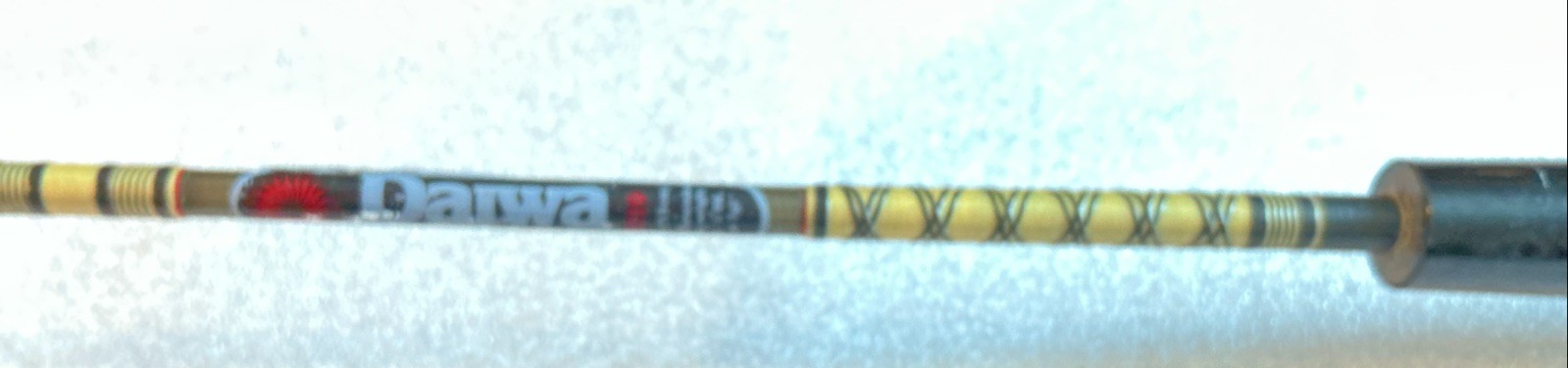Daiwa Regal series two-piece 5 1/2 foot ultralight spinning rod