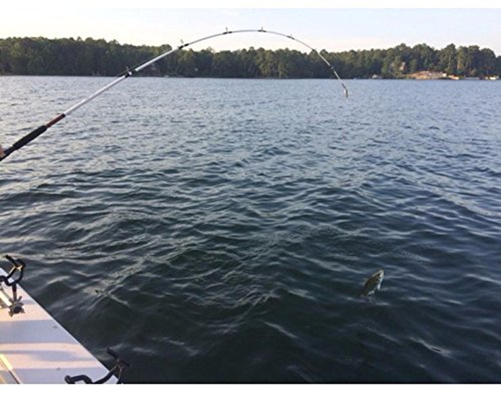 Ugly Stik® Spinning Combo Catfish Spinning – 7′ – Mh – 2pc