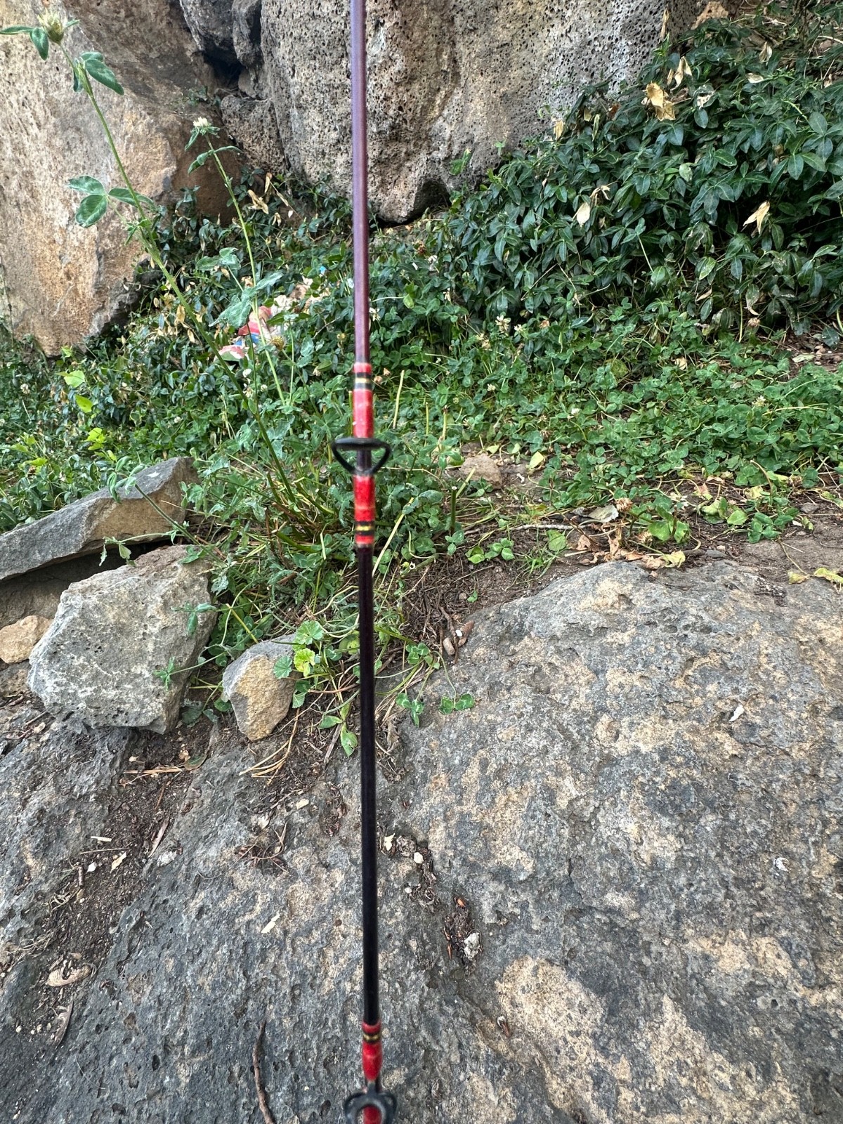 Bass Pro Shops IM7 Graphite Casting Fishing Rod 5′ 6″ 1 Piece Tourney Special