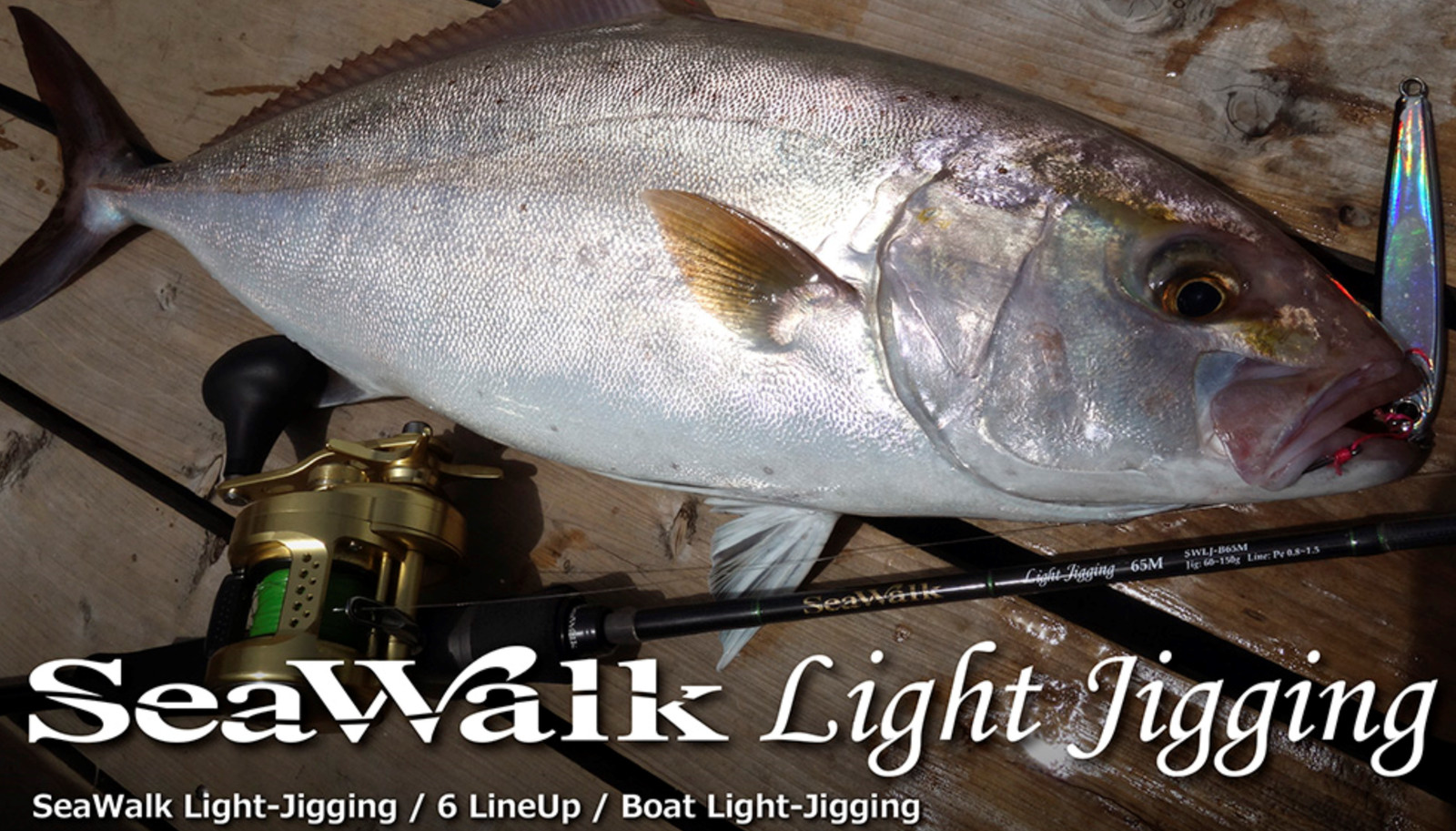 Yamaga Blanks Seawalk Light Jigging B66ML Baitcast Rod Made in Japan **US Seller