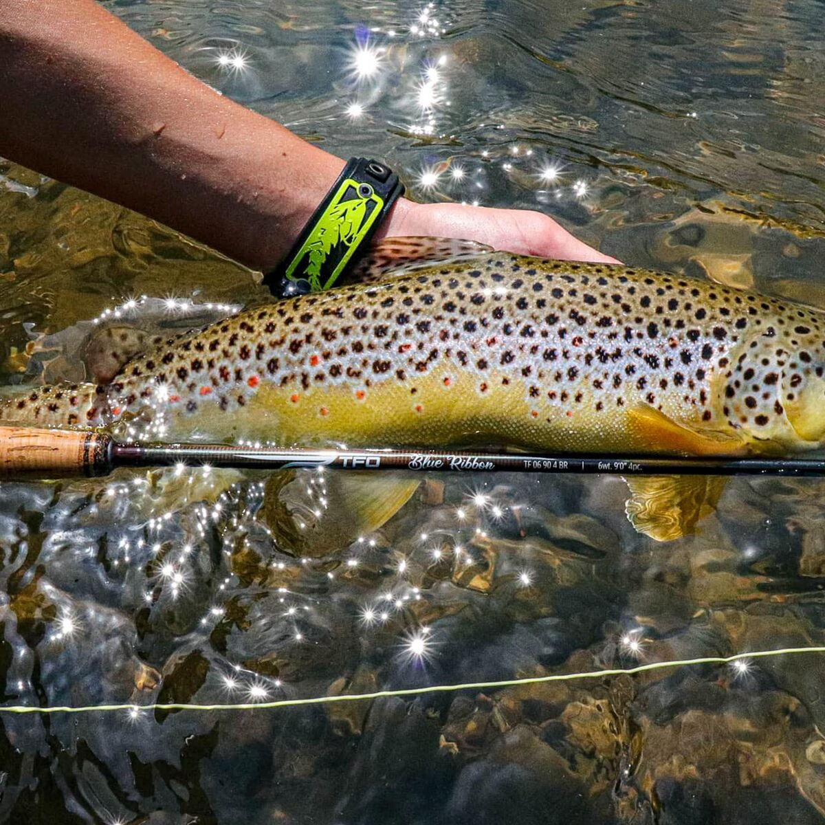 TFO Blue Ribbon Series Fly Rod – 4 Piece