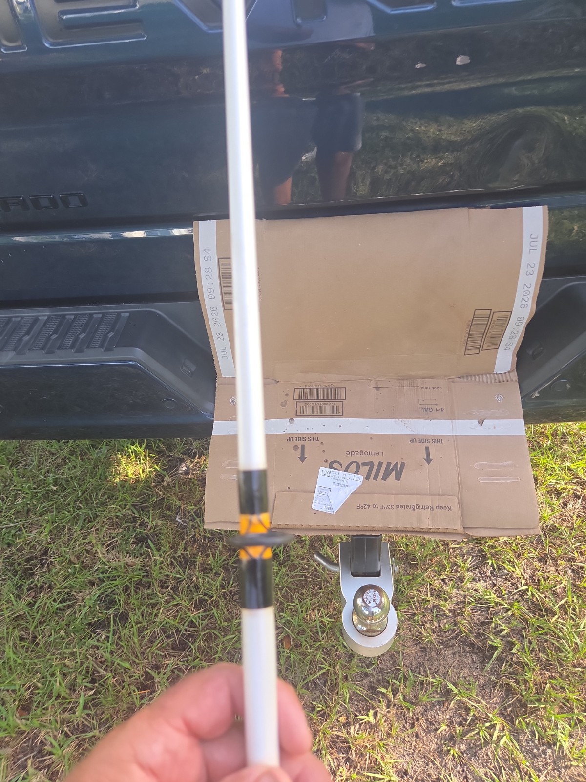 bass pro shop king cat spinng rod