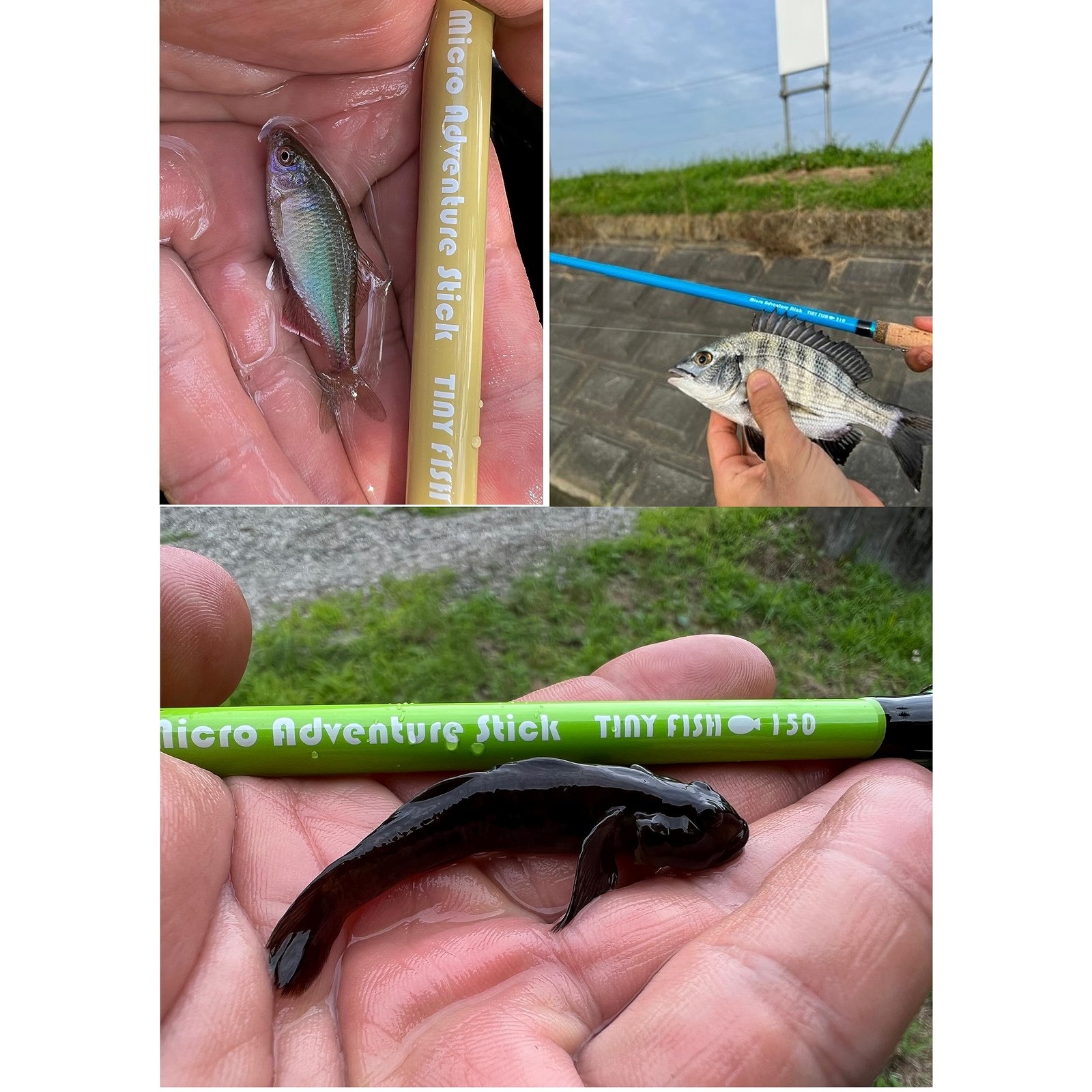 Micro Adventure Stick◇TINY FISH + RIG 210 SAND