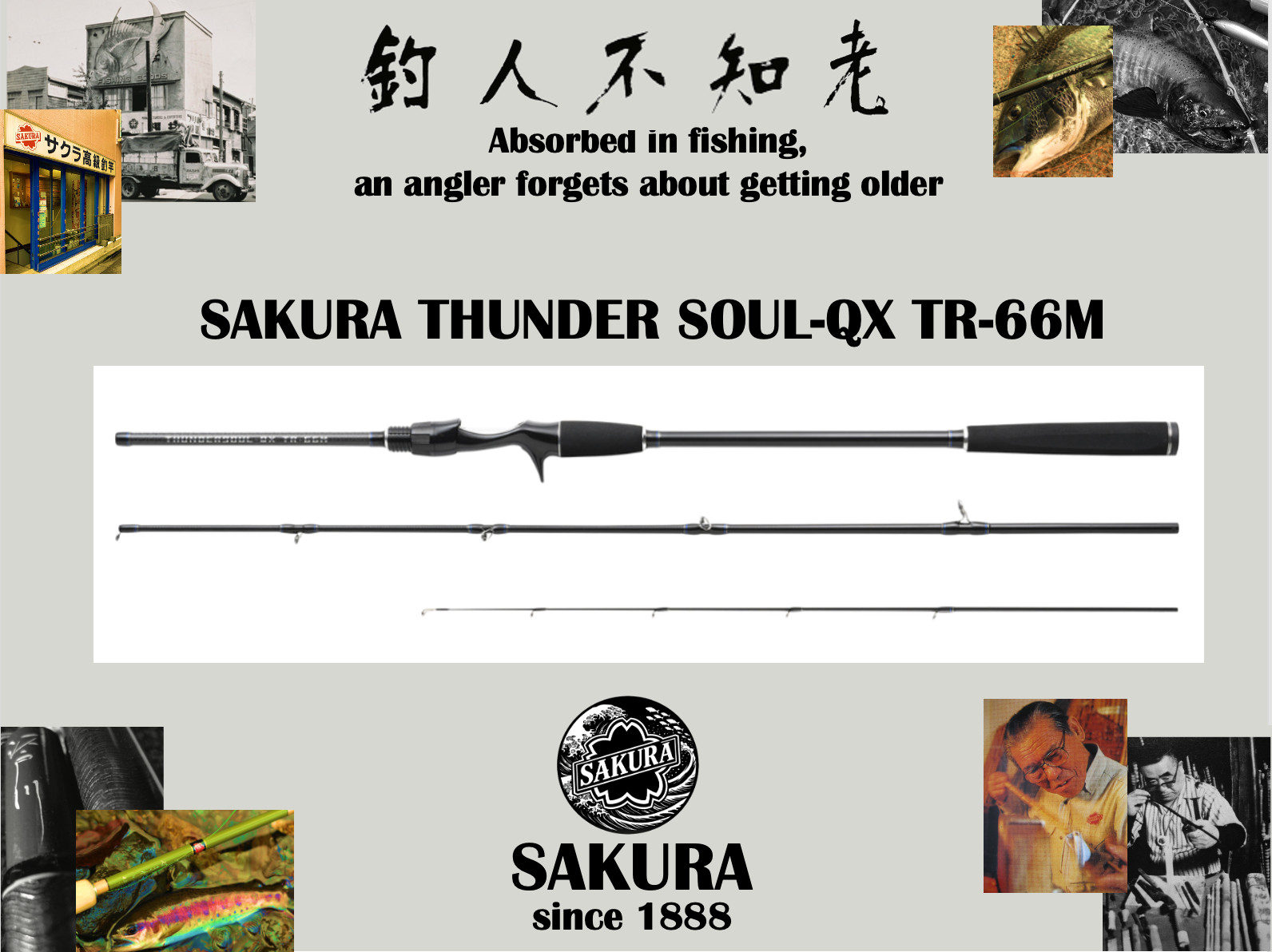 Lure Fishing Rod From Japan Vertical Jigging Sea Bream Glass Carbon SAKURA pole
