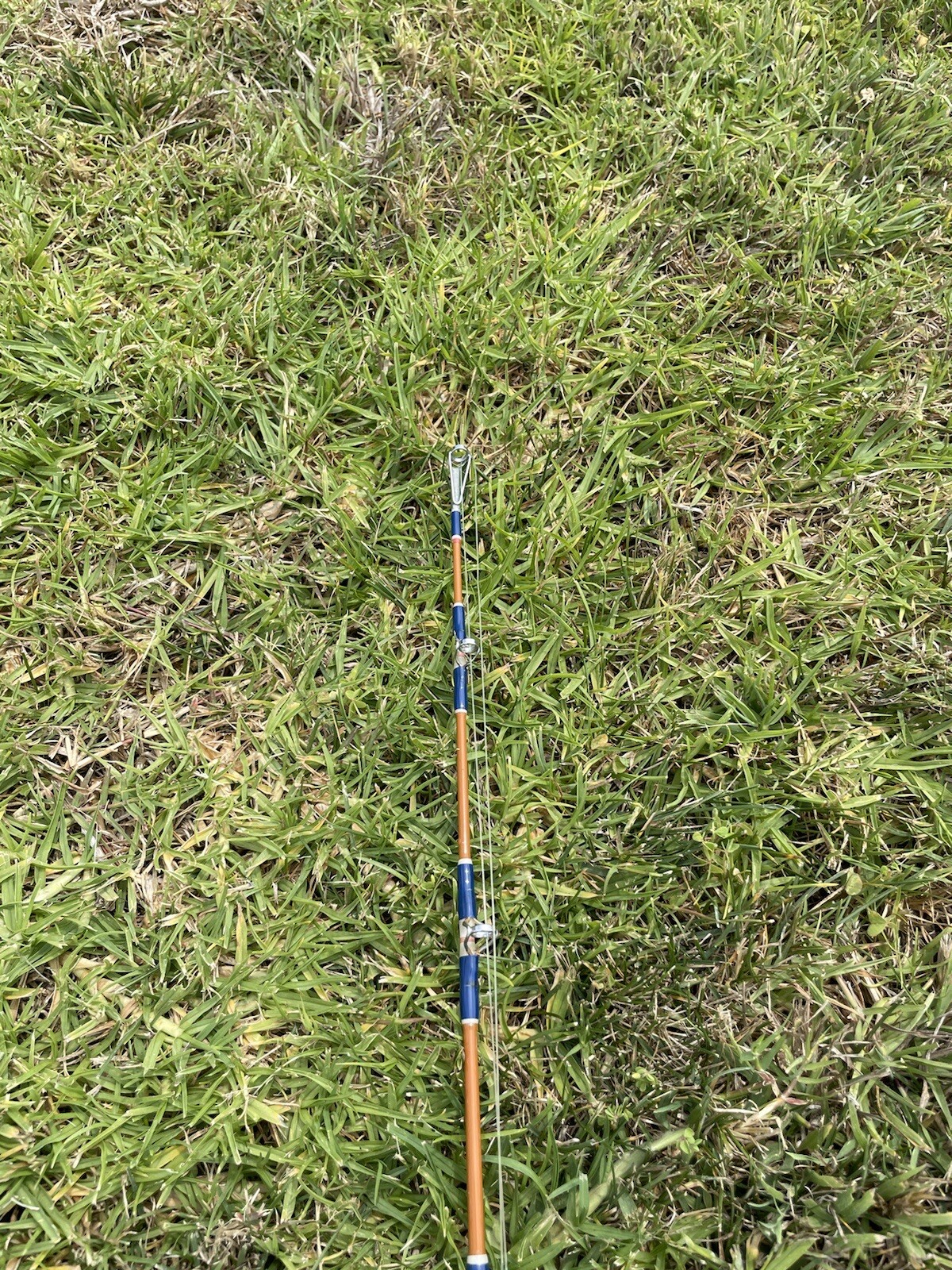 Avet 4.1 Fishing Reel With Seeker A 270H-8’ Rod