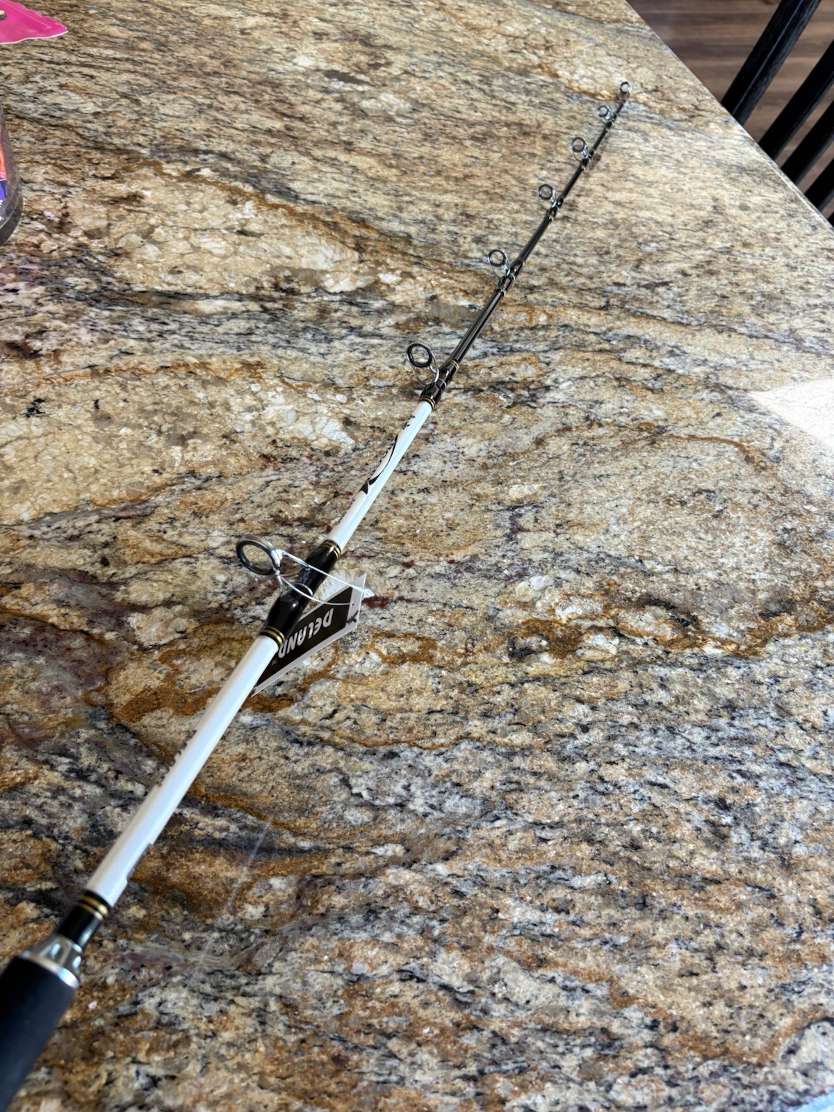 Premium Jigging Rod (Conventional) Not Spinning $400. Value 🔥