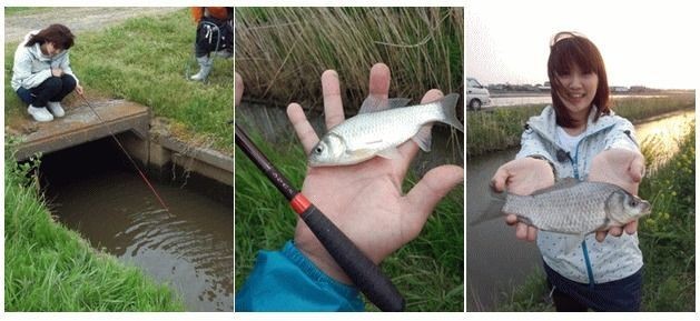 Daiwa Hinata 9ft All-Purpose Small Freshwater Rod Ultralight Fishing Gear