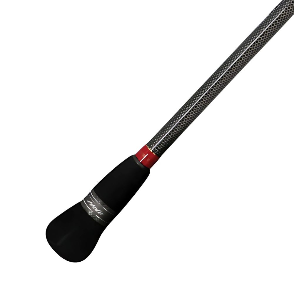 NS BLACK HOLE Saltwater Boat Allround Baitasting Rod MAGIC EYE TORQUE TJ582B