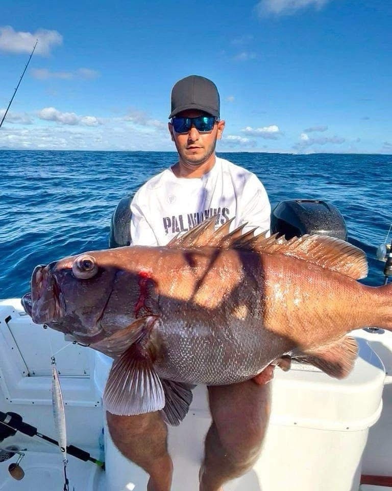 2025 Palmarius P Series Gen 2 Slow Pitch Jigging Rods