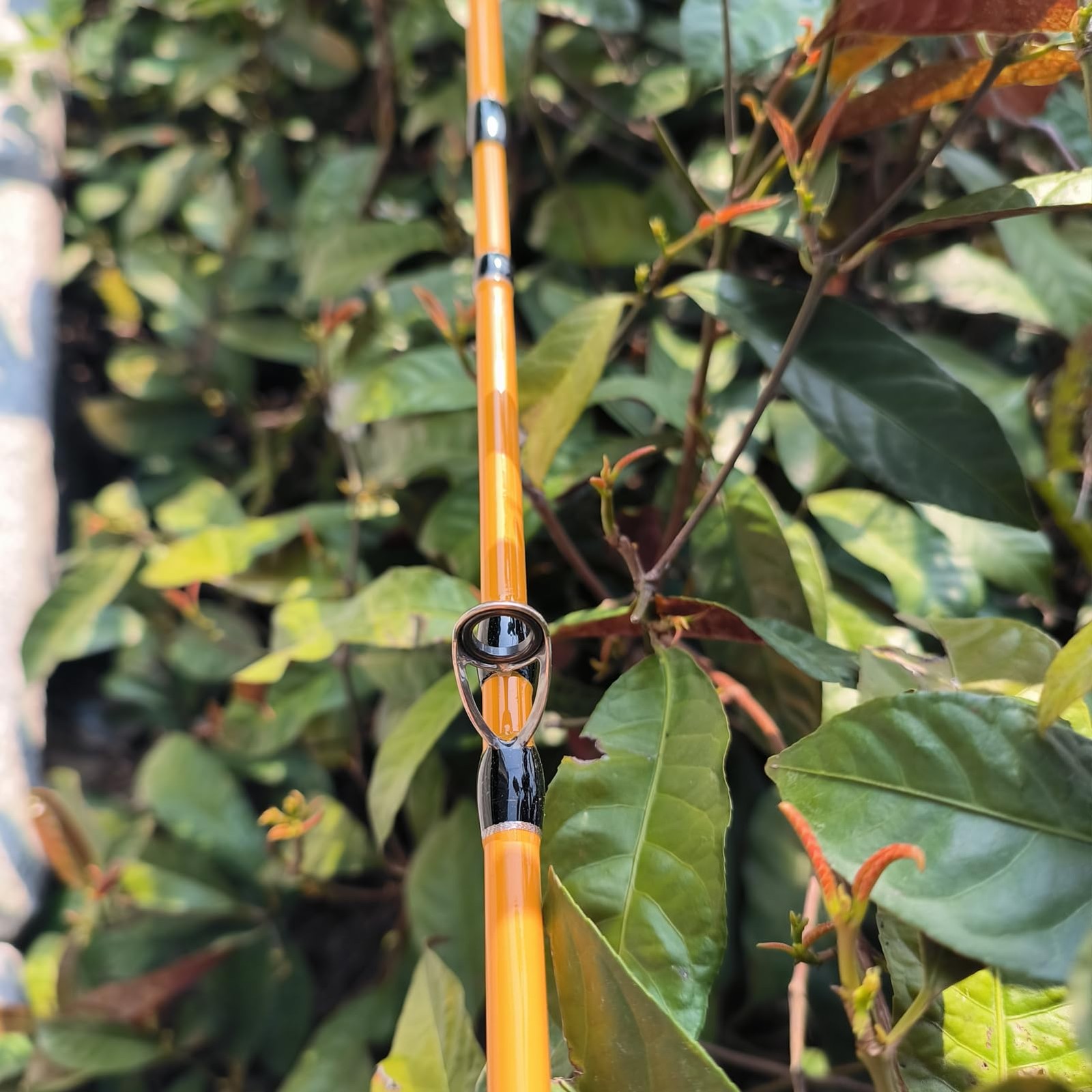 EVA Handle Fishing Rod,IM7 Graphite 2-Piece Blank Rod, Fuji Anti Entanglement