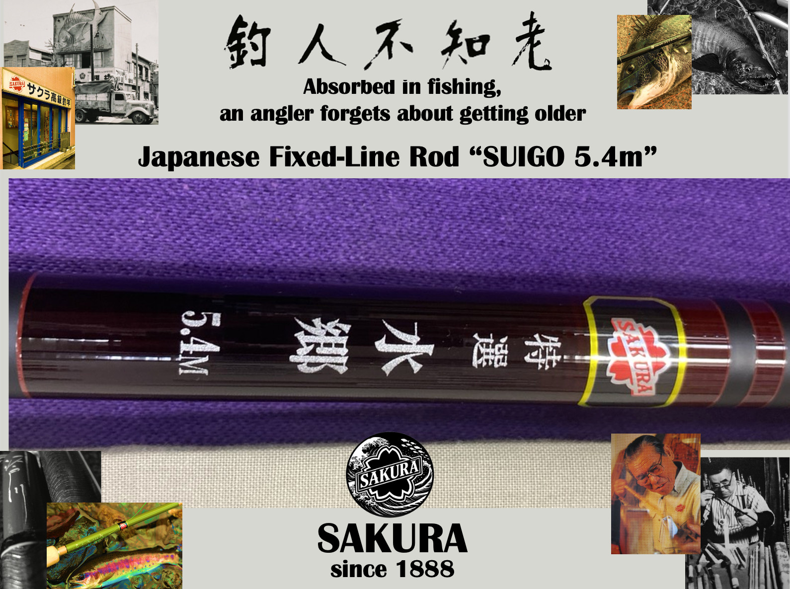 Japanese Fixed-Line Rod All Freshwater Fish Carp 17’7″ Carbon Fiber JDM SAKURA