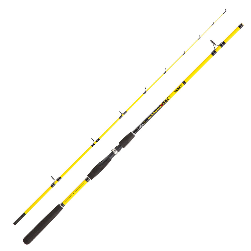 Jenzi Fishing Rod Continuum 20-100g Spinning Rod Yellow Fishing Plug Rod Spinning Fishing