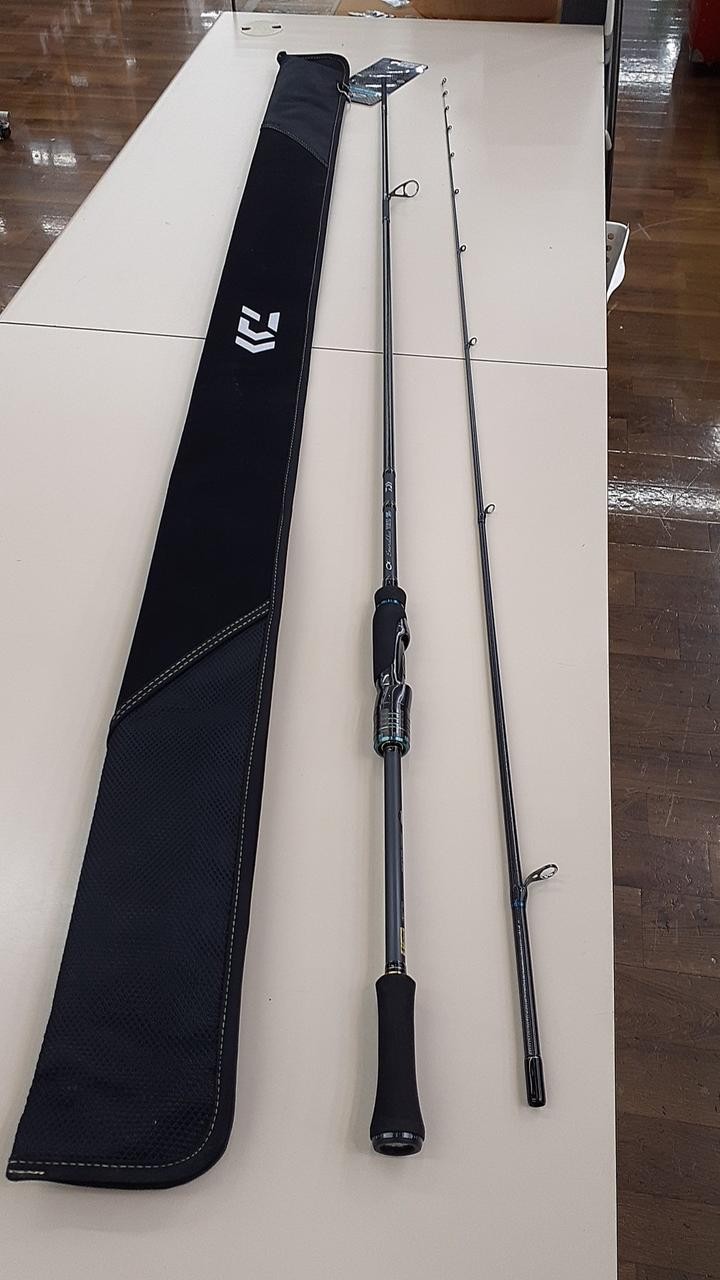 Daiwa Eging Rod 88in/8ft8in, 90g, 2-piece, with case, Fishing Equipment