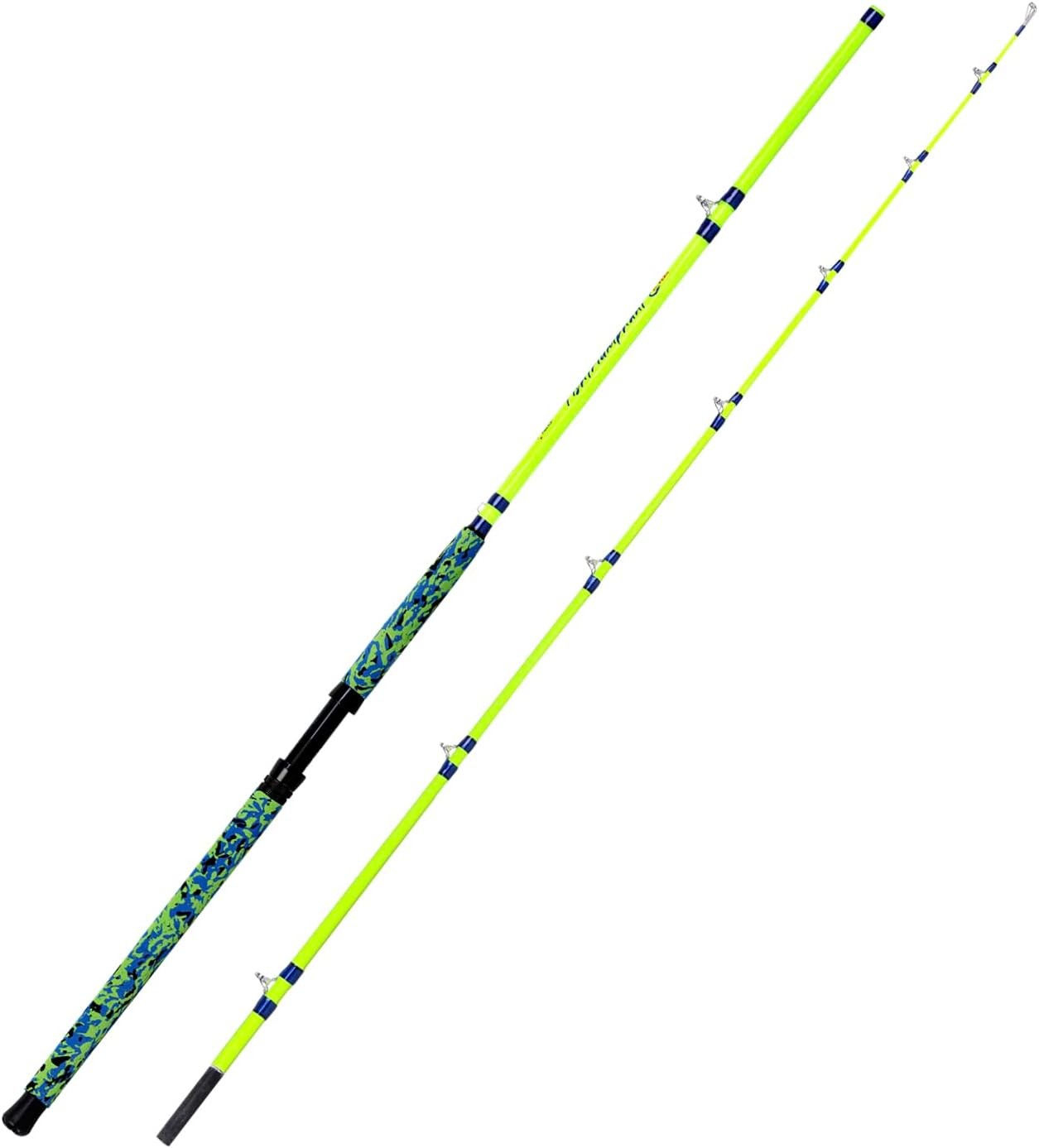 Catfish Fishing Rods Catfishing Pole Medium Heavy