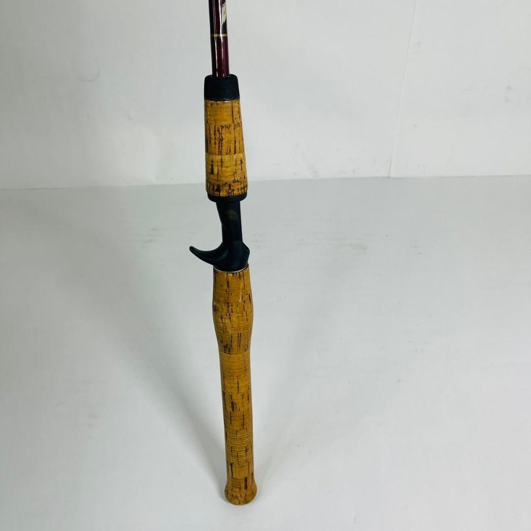 Fenwick Golden Wing GW 66C Spinning Rod Used, Light Wear