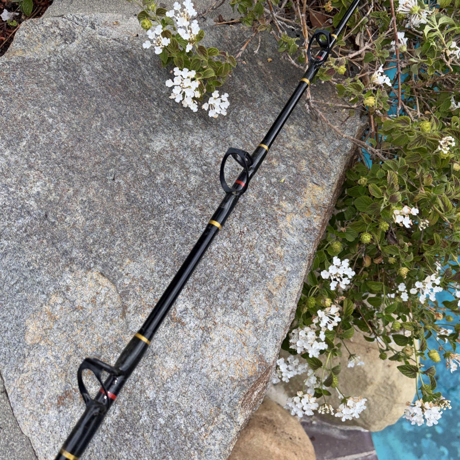 Penn Mariner Stand Up 620 CLST 6’0ft BIG GAME Rod 12-30 lb Black Saltwater