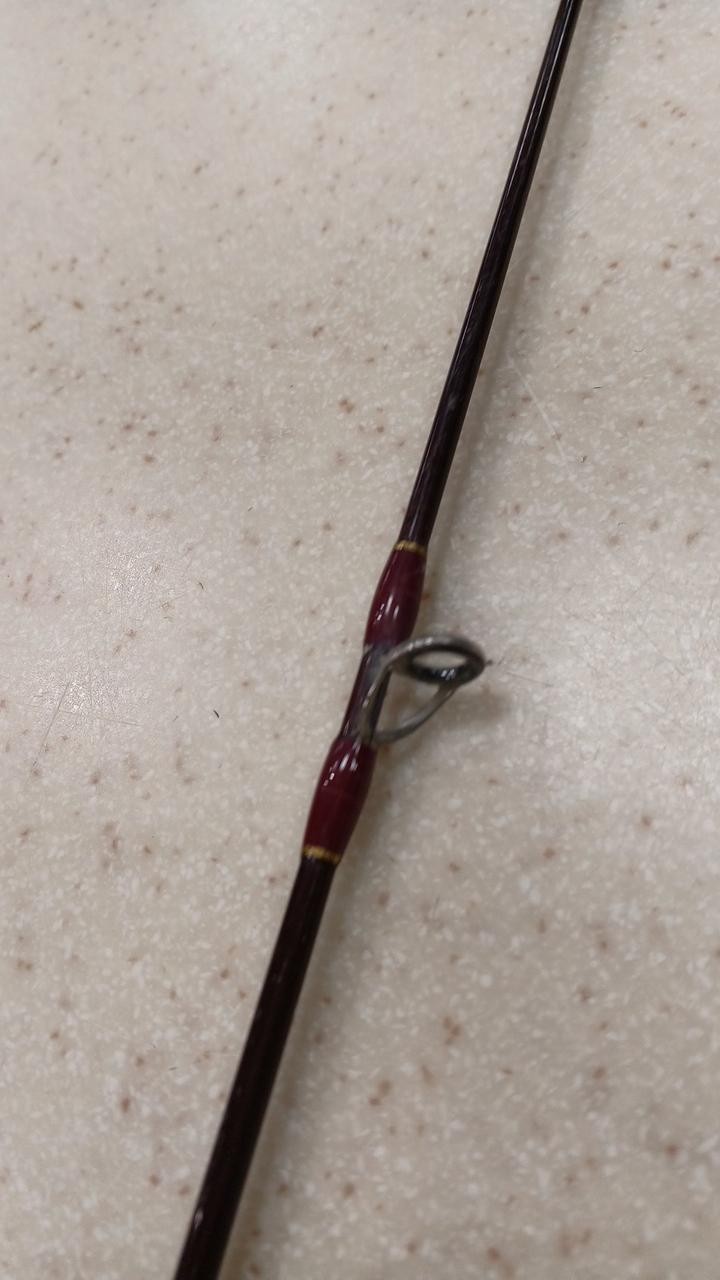 Daysprout TC-610H Catfish Baitcasting Rod 6’10” 150g Max 30lb Line