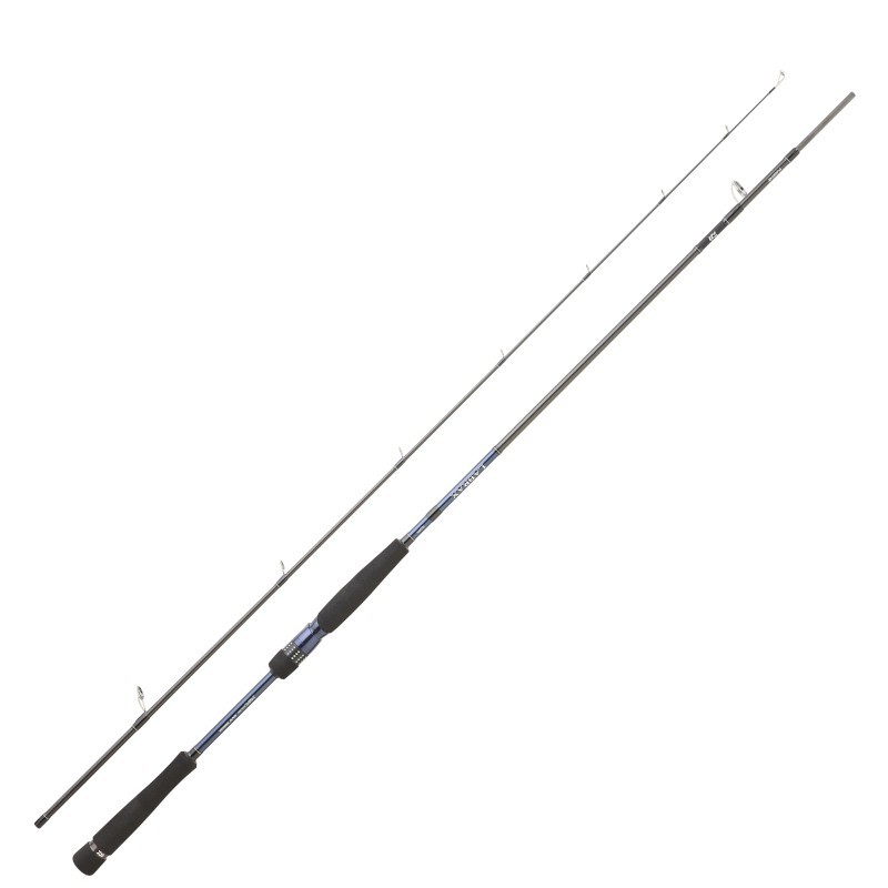 Daiwa Labrax Seabass