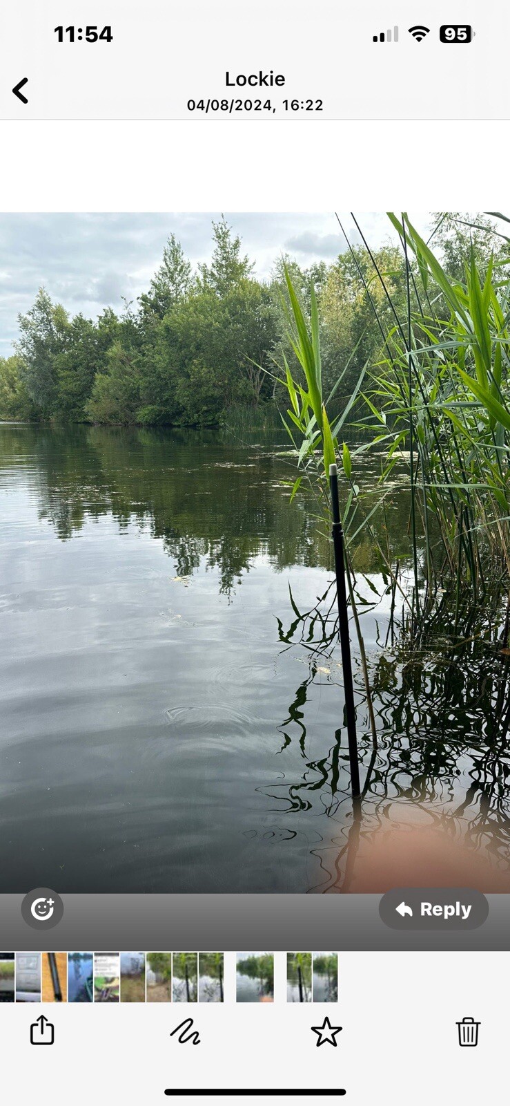 Buzzard Rod Custom Carbon shallow water “ Washing Line Clips”- Carp Fishing