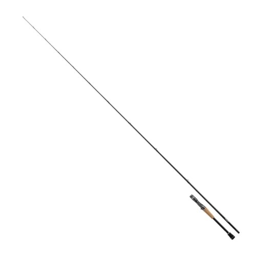 Daiwa 24 STEEZ SC C611MH-SV Baitcasting Rod for Bass