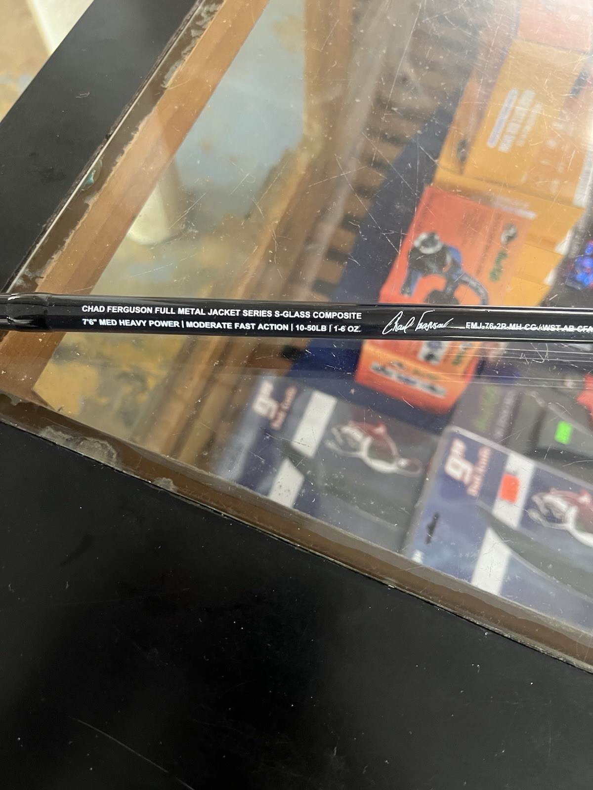 Whisker Seeker Casting Rod fMJ