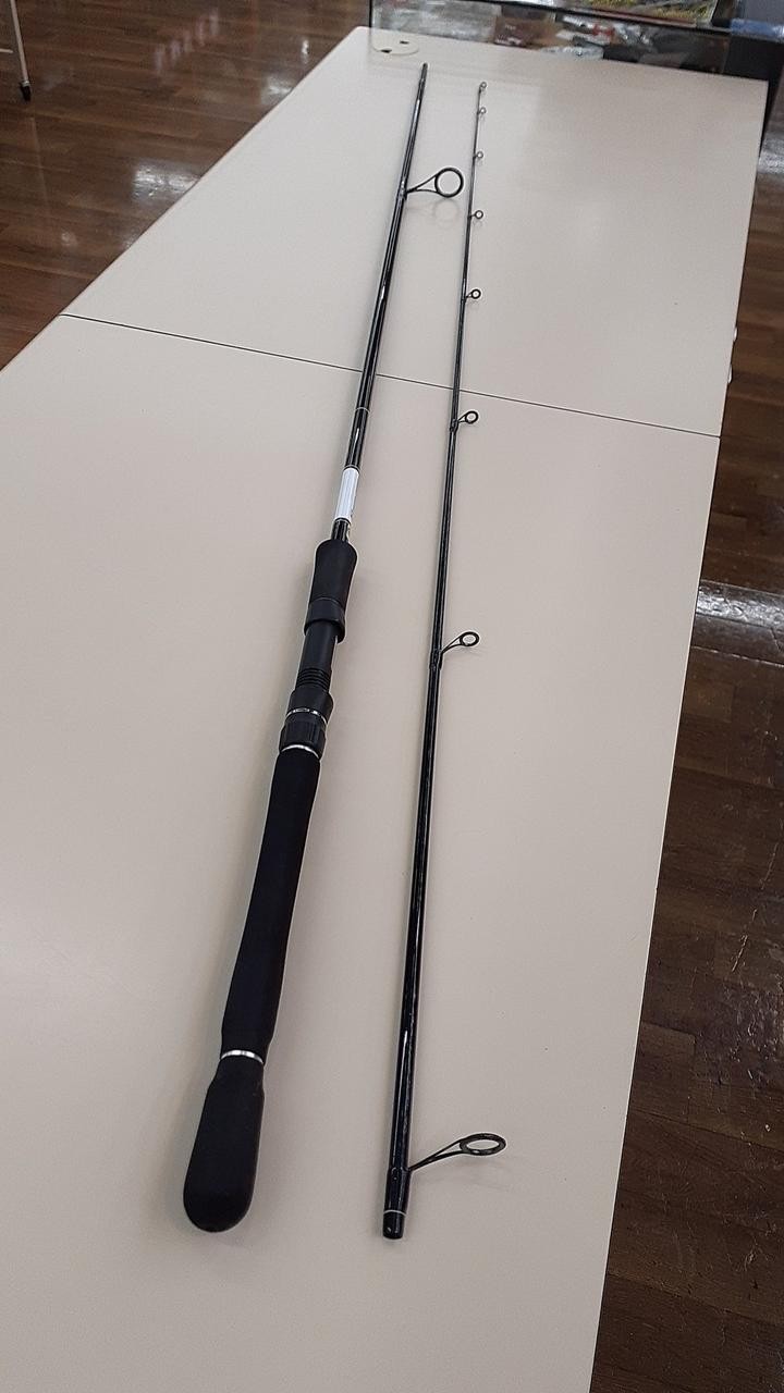 Gamakatsu Luxxe Saltage Cheetah R 96M Seabass Surfcasting Rod, 9.6ft, 155g