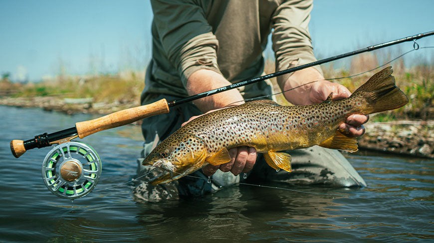 TFO Solution 3wt 8′ Fly Rod | Lifetime Warranty Free Shipping