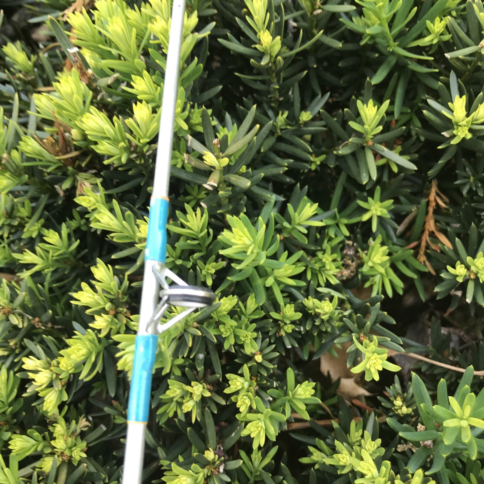 Ryobi Fintek Silver Stik Graphite Fishing Rod SS260M 4-10# Lure 1/8-3/8 2 pc