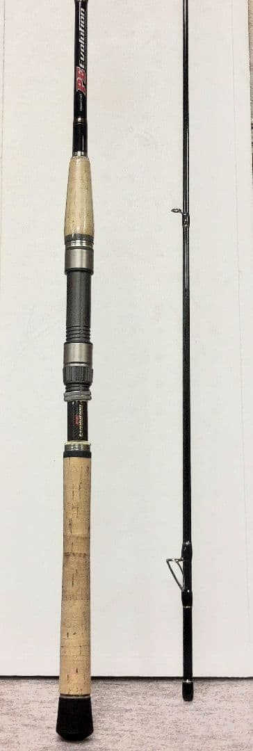 PE Evolution Fishging Rod 7-28g Ultra-Light New Unused