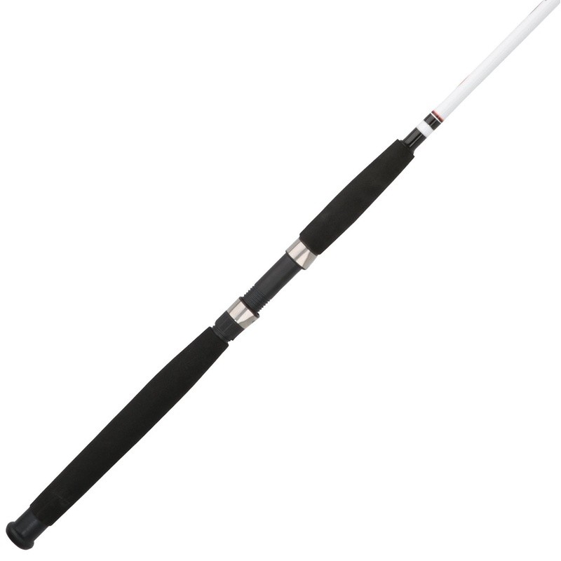 Big Game 8ft Spinning Rod Medium Heavy Moderate Fast Fishing Rod Durable New