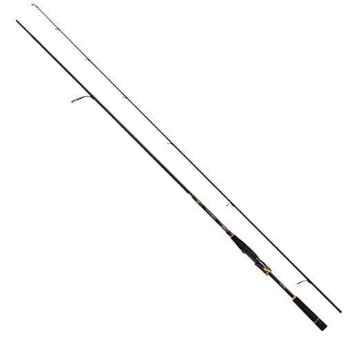 Daiwa Spinning Rod Morethan BRANZINO EX AGS 94MMH